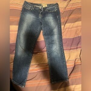 American Rag Jean Carpis